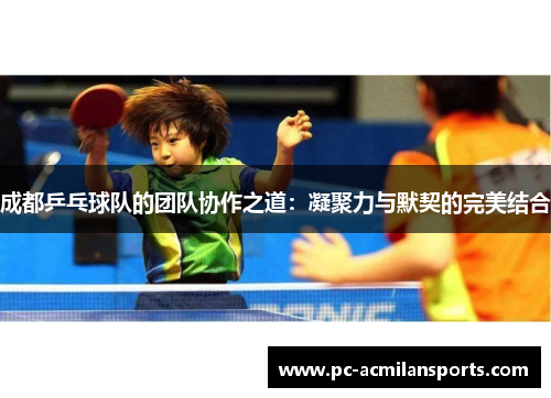 成都乒乓球队的团队协作之道：凝聚力与默契的完美结合
