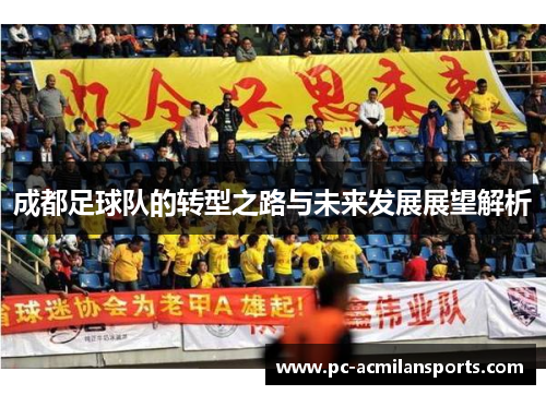 成都足球队的转型之路与未来发展展望解析